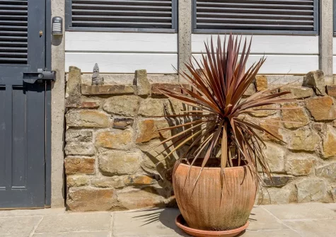 The courtyard at 3 White House Close, Instow