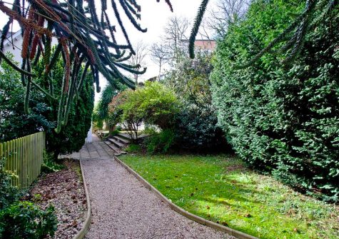 The garden at 4 Hunters Moon, Torquay
