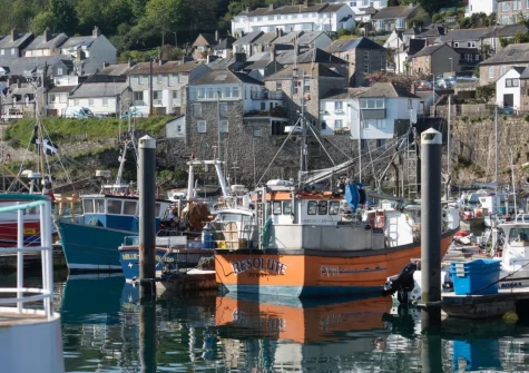 Explore Newlyn's working harbour where you can watch the catch of the day arriving back at shore to the traditional white washed cottages & nearby beaches