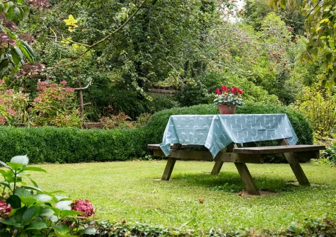 The garden & alfresco dining area at A New Belonging, St Kew
