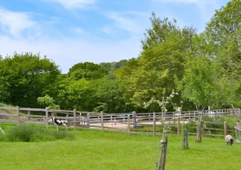 Enjoy suberb rural views when you stay at Apple Barrel Barn, Dunkeswell Abbey