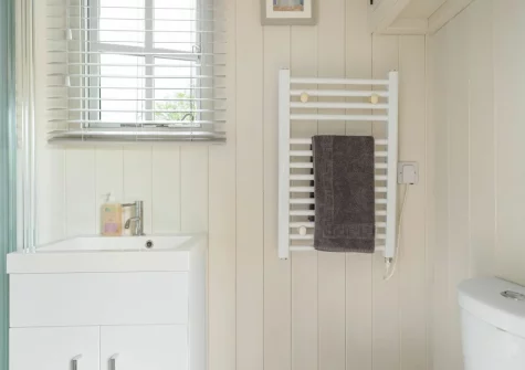 The shower room at Apple Blossom at Devon Heaven Hideaways, Kenn