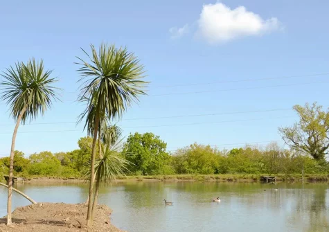 The shared fishing lake at Little Dunley Cottages, Bovey Tracey