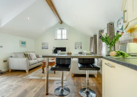 living, dining area & kitchen