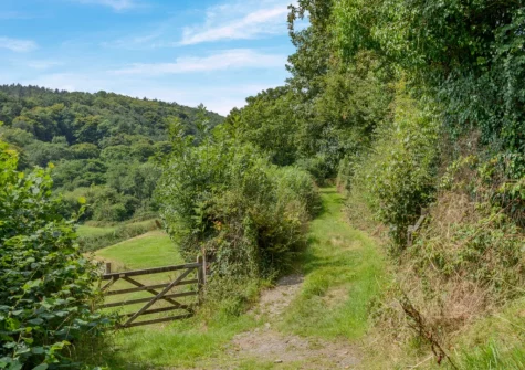 Surrounded by scenic walking trails, April Cottage at Sanctuary Farm is an ideal base for exploring the area's natural beauty