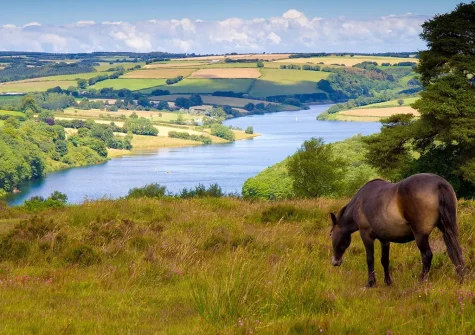 Art House, West Ridge Farm is an ideal base for exploring Dartmoor and everything Devon has to offer