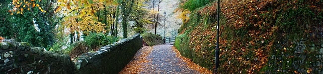 Autumn is a great time to enjoy Devon. Indulge in food festivals, take scenic woodland walks & end the day beside a roaring log fire in a Devon country pub.