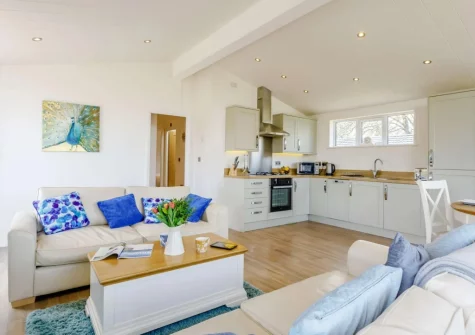 The living area & kitchen at Ash Lodge, The Retreat, Romansleigh