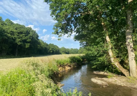 Explore the 50 acre peaceful country estate with river edge & woodland walks, along with beautiful wild flower meadows