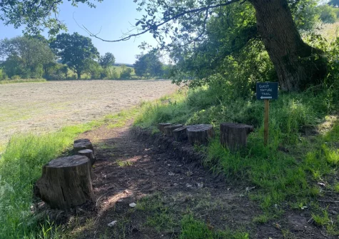 Explore the 50 acre peaceful country estate with river edge & woodland walks, along with beautiful wild flower meadows