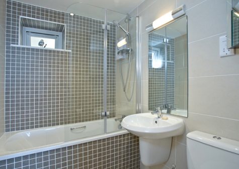 The bathroom @ Avocet 1, The Cove, Brixham