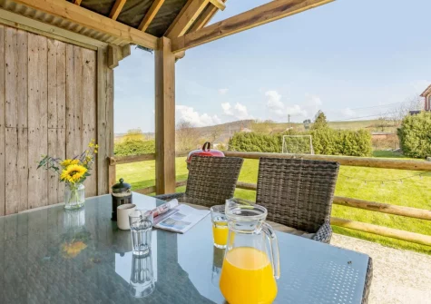 The enclosed patio, barbecue & alfresco dining area at Barley Mow Cottage, North Nethercleave Farm, Umberleigh