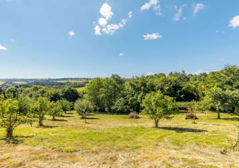 The garden opens on to a beautiful mature orchard, offering the perfect space for your four-legged friend to be exercised