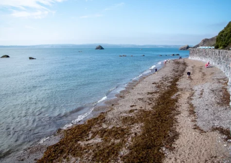 Nearby Meadfoot Beach is a good spot for a swim or the more energetic can try their hand at sailing, paddleboarding & kayaking