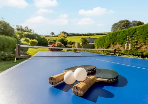 Enjoy a game of table tennis in the garden