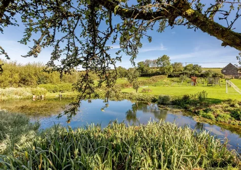 Guests are welcome to explore the farm