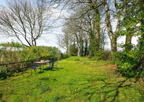 The leafy enclosed garden at Beech Cottage, Rousdon