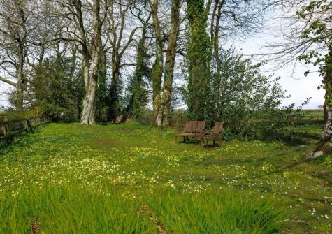 The leafy enclosed garden at Beech Cottage, Rousdon
