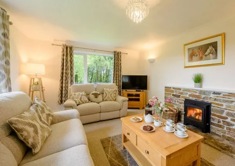 The living room at Beechcroft, Clawton