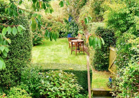 The garden at Beehive Cottage, St Breock