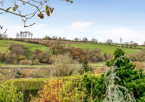 Enjoy the fantastic countryside views when you stay at Betty's Cottage, Bishop's Tawton