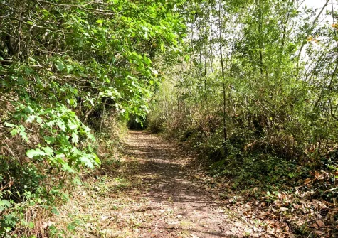 Birds Nest is an ideal base for walkers, with plenty of walking trails nearby