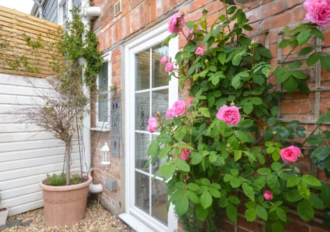 The tiered garden at Bobs Cottage, Padstow