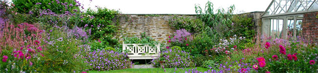 Bosvigo Gardens in Truro began as the personal dream of artist Wendy Perry and her husband Michael, with their lovely 17th century farmhouse as a backdrop.