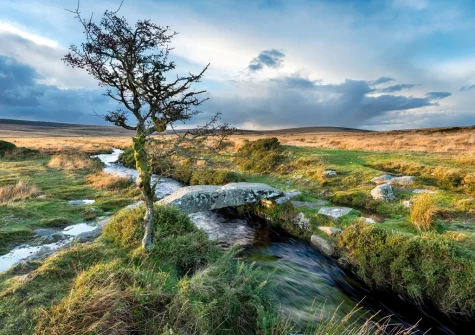 A paradise for outdoor lover, exploring Dartmoor National Park offers a journey into a rugged, ancient wilderness defined by dramatic granite tors & expansive heather moorlands