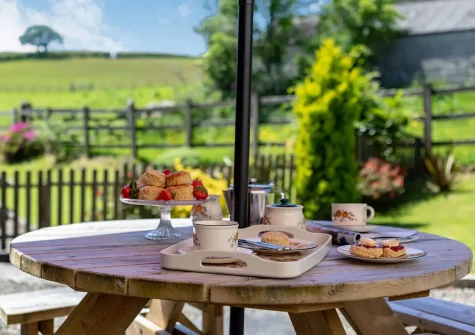 The patio & alfresco dining area at Bracken Cottage, Lower Treslea Farm, Treslea