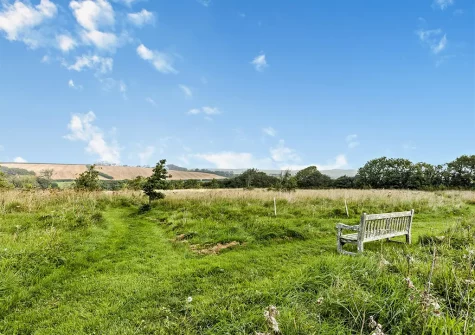 Guests at Bramble Barn, Youldonmoor Cross also have access to wander the owner's fields
