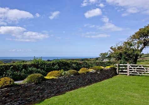 The front garden at Brambles Cottage, Wooda Farm, Bush