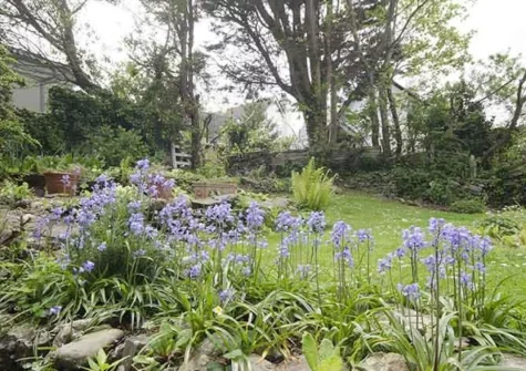 The beautifully manicured garden at Burrows Farmhouse, Croyde