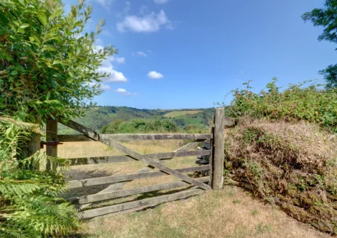 Guests staying at Button Stable can use the neighbouring farmland for walks