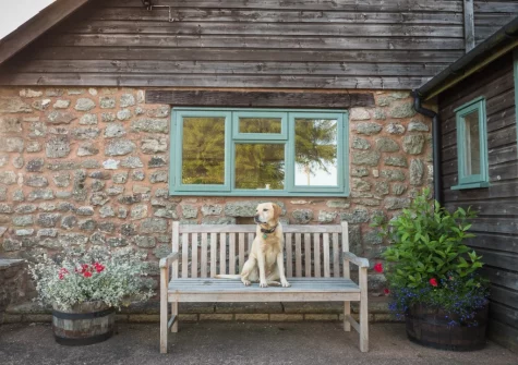 Buzzard Cottage is nestled within the Blackdown Hills, an Area of Outstanding Natural Beauty