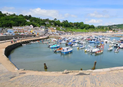 Many delightful seaside villages & harbours are within driving distance when you stay at Buzzard Cottage, Sheldon