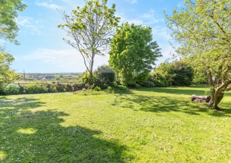 The lawned garden at Buzzards Cottage, Redruth