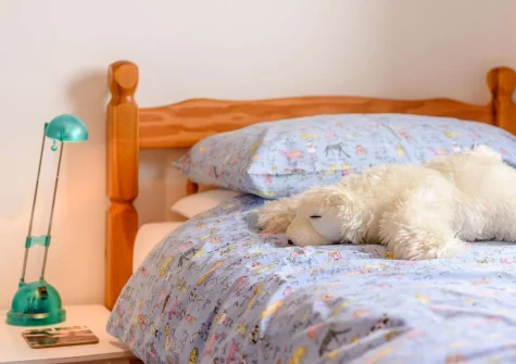 Bedroom #2 at Byeways, Ashwater