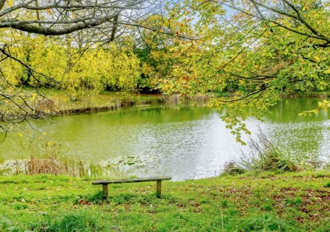 Guests staying at Cabana Lakeside Lodge are free to explore the 11 acres & fishing on the lakes