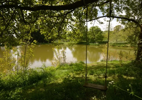 Explore all 11 acres of the grounds, which are dog friendly, when you stay at Cabana Lakeside Lodge 4, Whitnage