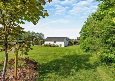 The lawned garden at Camellia Cottage In The Tamar Valley, Bere Alston