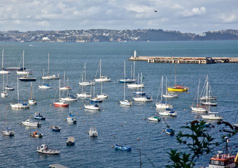 The view from Castaway Cottage, Brixham