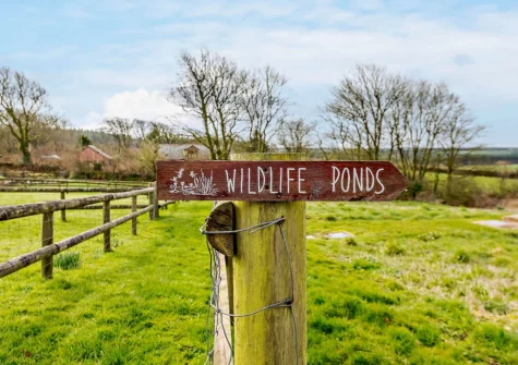 Take a stroll around the ponds, spotting local wildlife & enjoying the countryside views