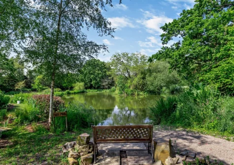 Small ornamental lake with lakeside garden in owner's grounds which guests staying at Cherry View are free to explore