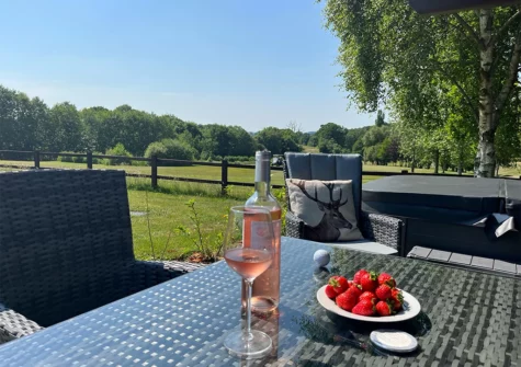 The alfresco dining area & hot tub at Chestnut, 6 Fingle Glen Lodges, Pathfinder Village
