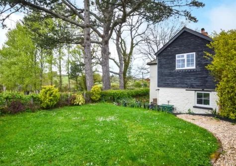 The garden at Church View, Tedburn St Mary