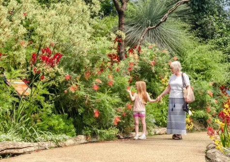 Churn Cottage is centrally located between the Eden Project and Lanhydrock House as well as The Lost Gardens of Heligan