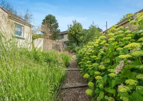 The garden with steps up to the outdoor sitting area at Cleveland Villa, Instow