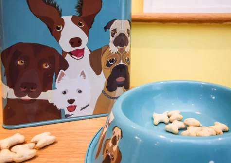 Your four legged friend will enjoy staying at Cockle Cottage