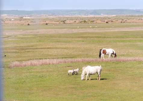 The view from bedroom #2 at Codaro, Westward Ho!